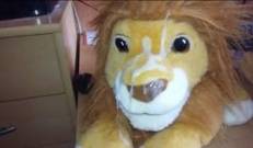 Брызжу вылетающей органической массой, прямо на шнапс хмурому зверьку