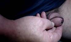 Земляной червячок, на который обычно ловят рыбку, вылезает из мужской уретры