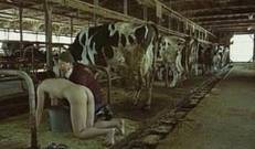 Деревенский мужик, отвёл свою жену в коровник, подставил под неё ведро и принялся доить