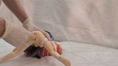 Опыты делитанта, набрав в клизму дым от сигарет, автор фильма вставил её миниатюрной куколке между ног, и спустил её внутрь, а дым нашел выход через рот